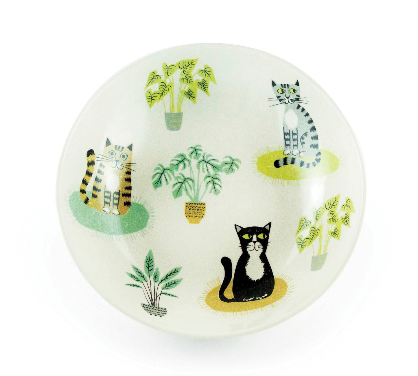 お皿 Hannah Turner ネコ Cat Pasta Bowl