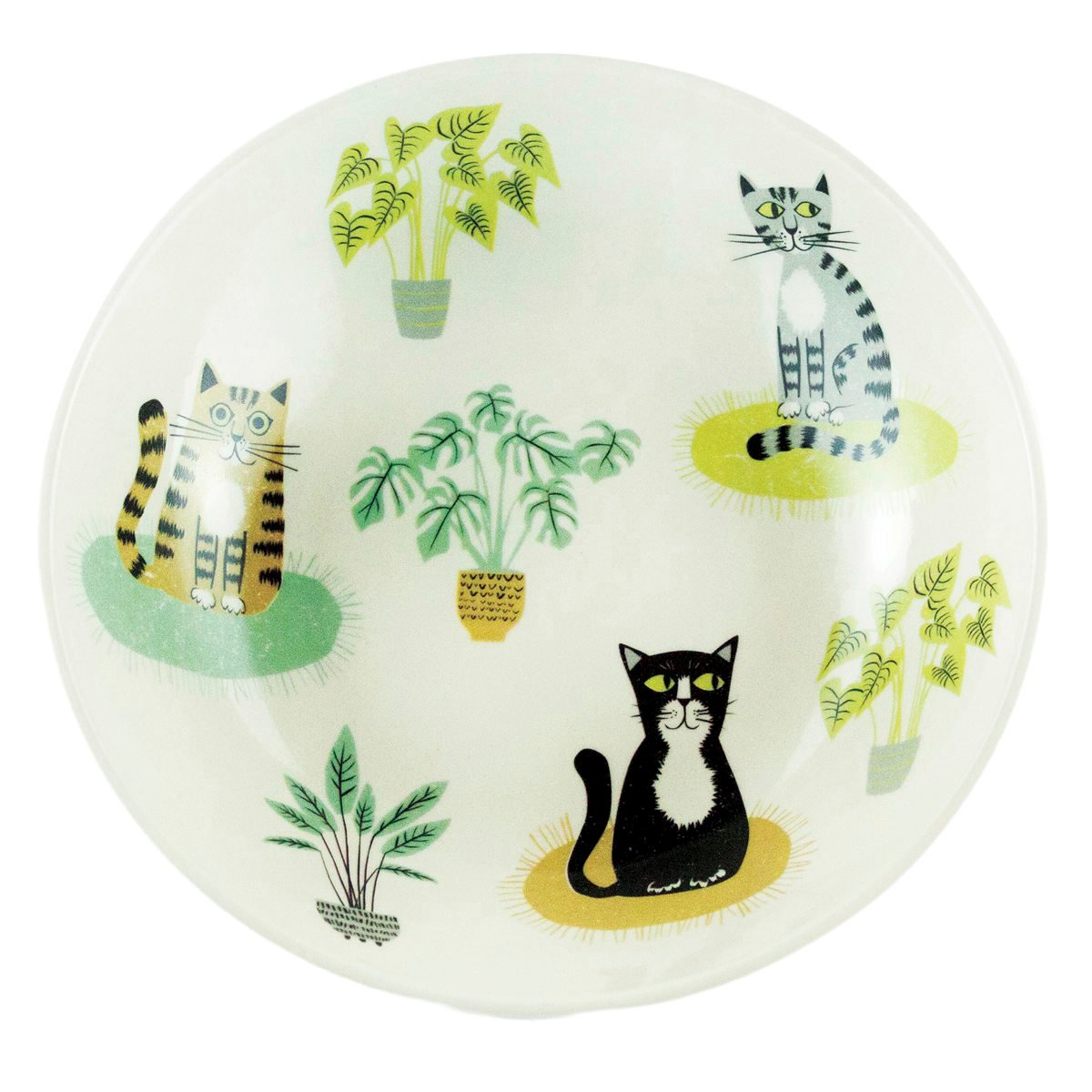 お皿 Hannah Turner ネコ Cat Pasta Bowl