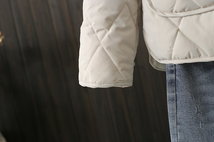 レディース トップス 長袖 ゆったり 冬 体型カバー 大きいサイズ ショート ラウンドネック 上品 薄手 襟なし ポリエステル