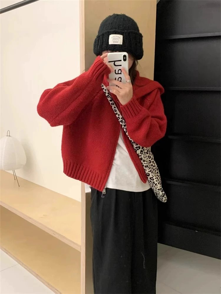 レディース ニット カーディガン コート 長袖 ゆったり 秋冬 秋 体型カバー ミニ 膝丈 ジャケット 冬 切り替えデザイン 厚手 セーター パーカー フード フェミニン アウター ボタン ポリエステル