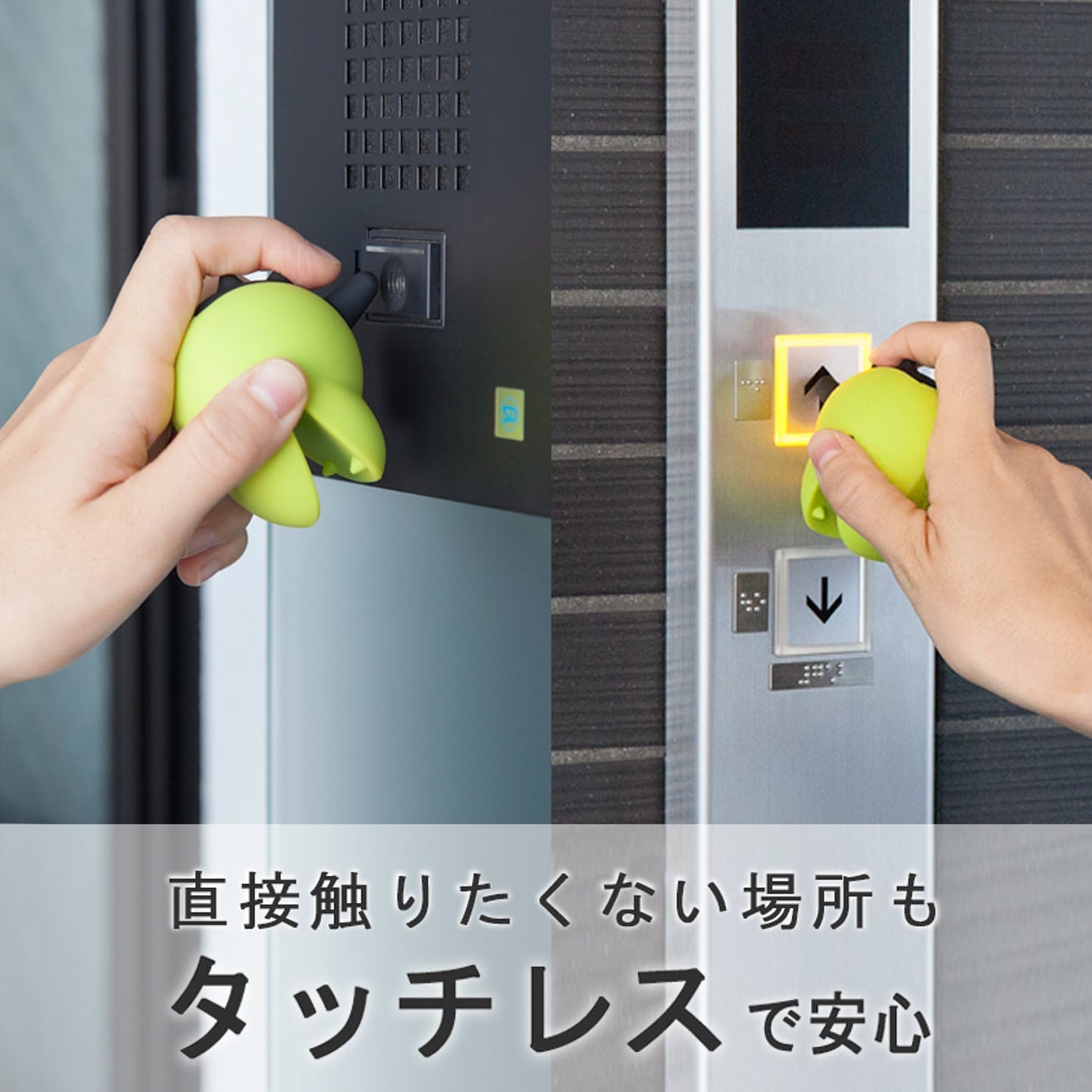 ツノザウルス